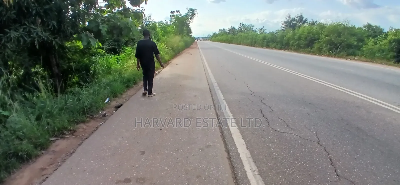 Roadside 4 Acres of Land for Sale