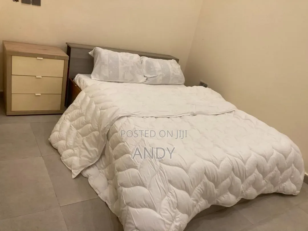 Furnished 2bdrm Apartment in Sylz Residence, Tseaddo for sale