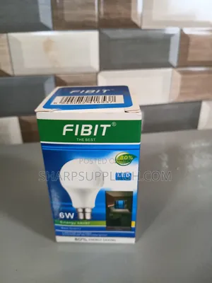 6w Fibit Round Bulb