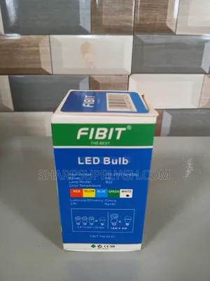6w Fibit Round Bulb