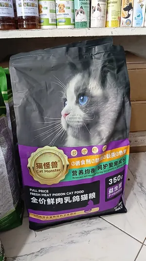 Kittens and Adult Food