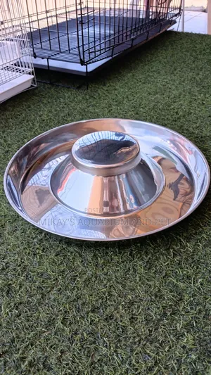 Flat Dog Bowls