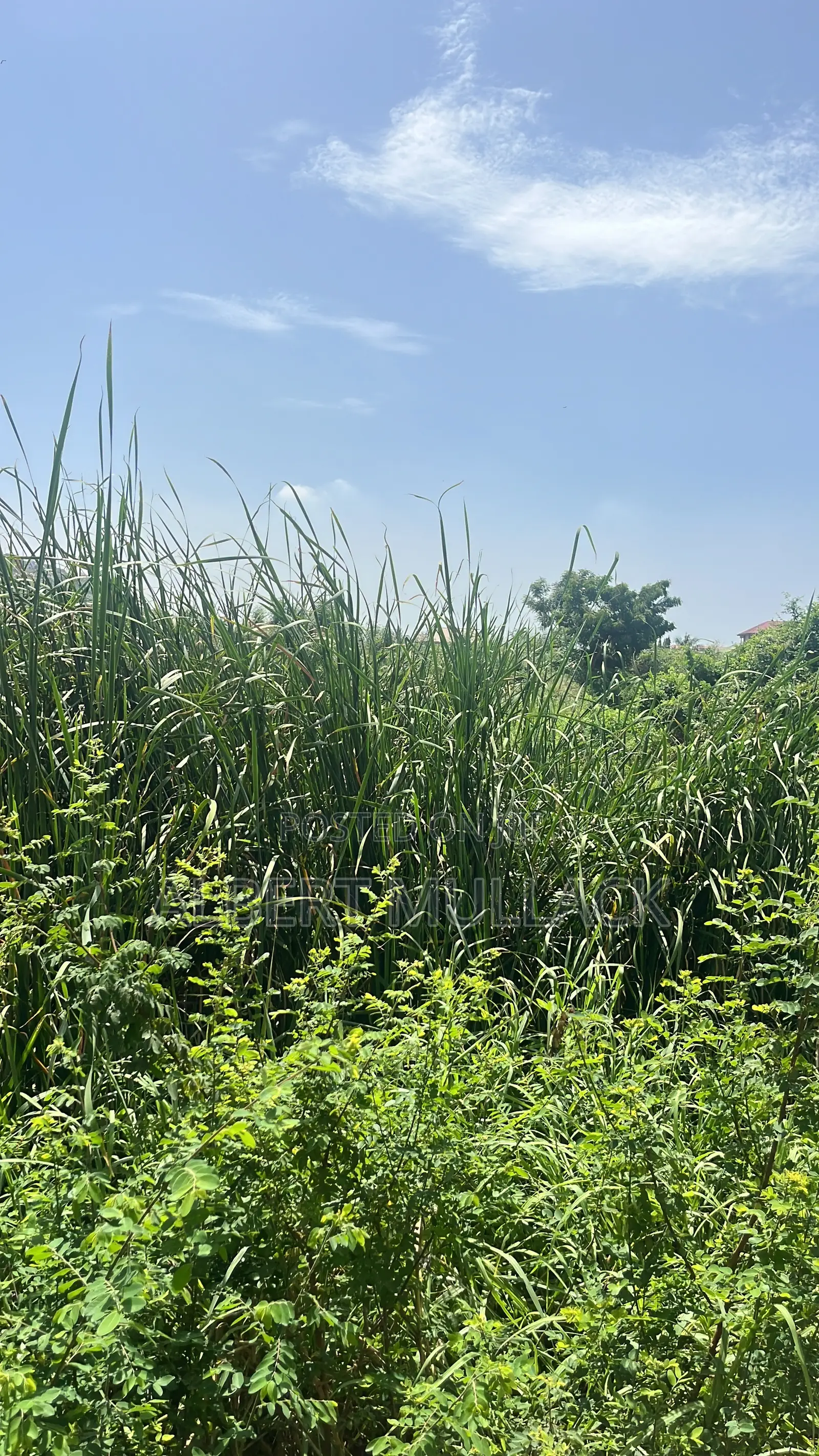 1 Plot of Land for Sale at Tatop Weija