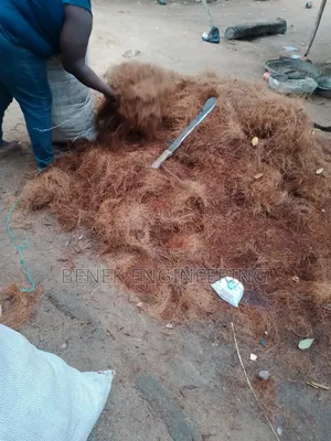 Treated Coconut Fiber
