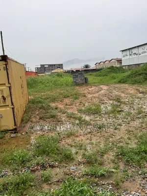 1.2 Acre Roadside Land at Manet-East Airport