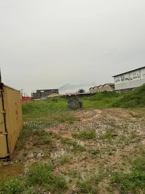 1.2 Acre Roadside Land at Manet-East Airport