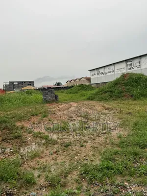 1.2 Acre Roadside Land at Manet-East Airport