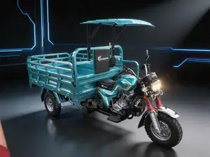 New Tricycle 2026