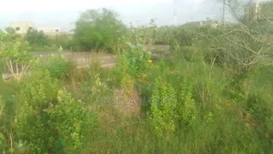 Two Plots for Sale at Community 18 Spintex