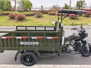 New Tricycle 2026 Green