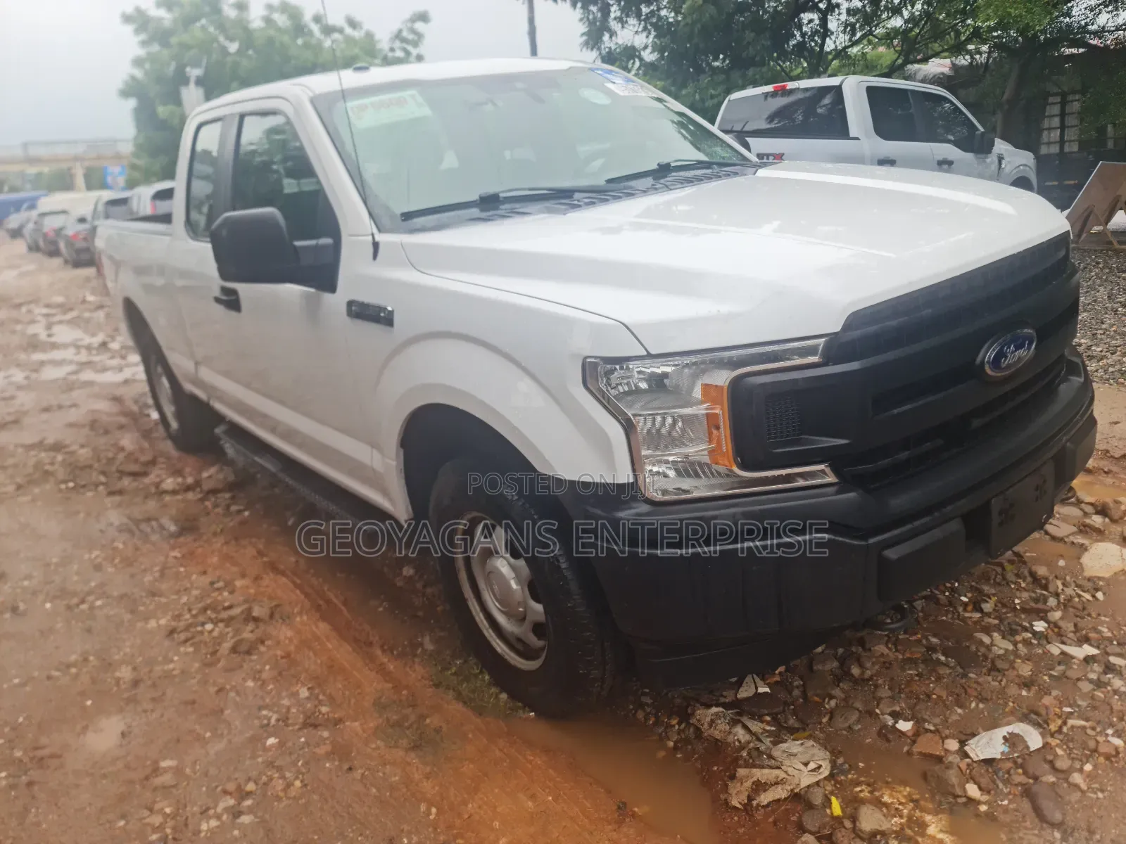 Ford F-150 2019 White