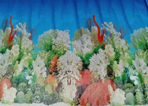 Aquarium Background