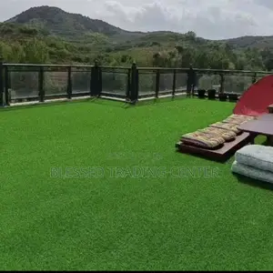 Artificial Grass for Rooftop