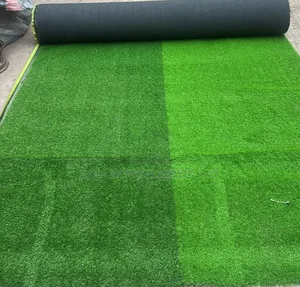 Artificial Grass Carpets for Churches, Auditoriums,Homes, Churches