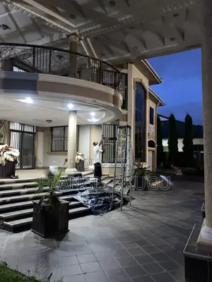 Professional Painter and Graffiato Works