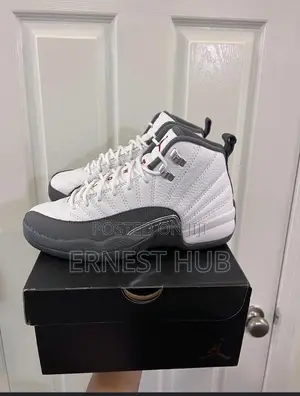 Air Jordan Twelve