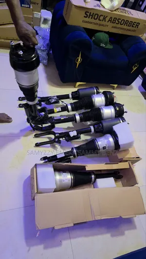 Mercedes-Benz Air Suspension Struts for Models Like 1666