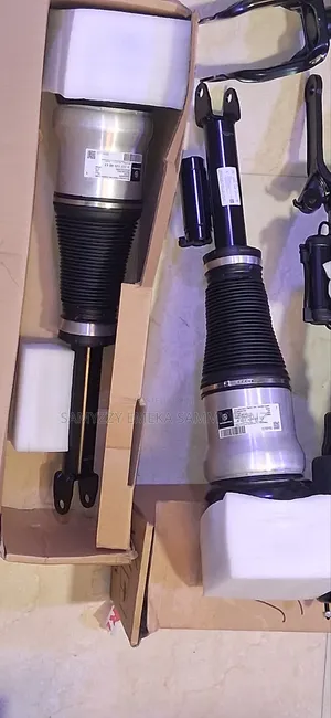 Mercedes-Benz Air Suspension Struts for Models Like 1666