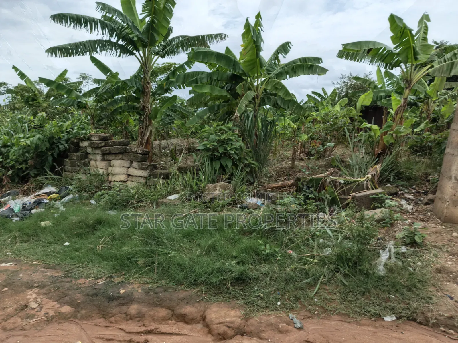 2 Plots for Sale at Atimatim Maase ( Near Pankrono)