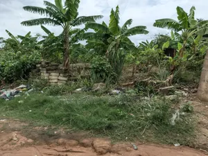 2 Plots for Sale at Atimatim Maase ( Near Pankrono)