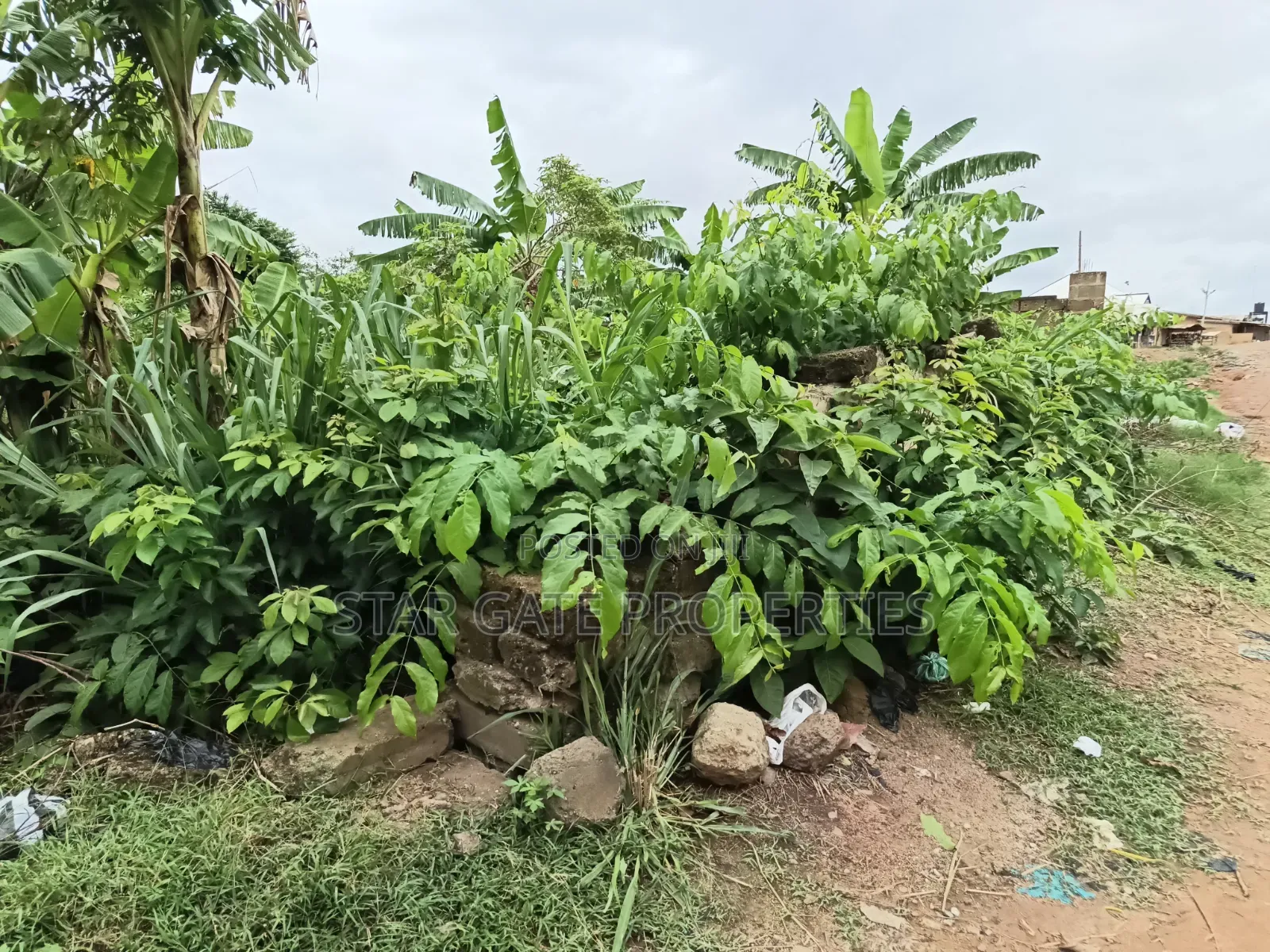 2 Plots for Sale at Atimatim Maase ( Near Pankrono)