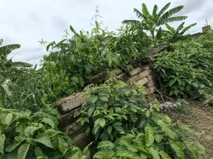 2 Plots for Sale at Atimatim Maase ( Near Pankrono)