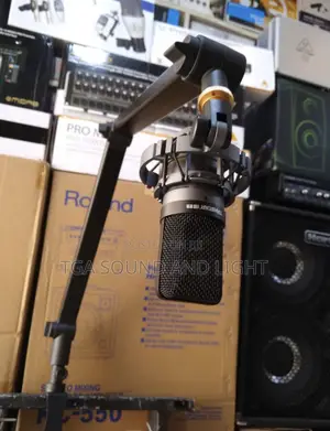 Boom Arm Microphone Stand [Heavy Duty]