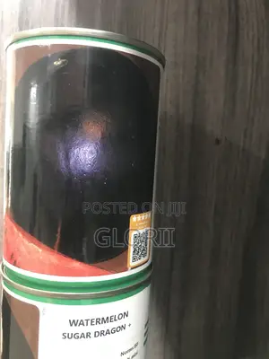 Watermelon Sugar Dragon F1