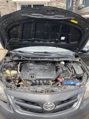 We Wash and Clean Car Interior and Engine Surroundings Professionally