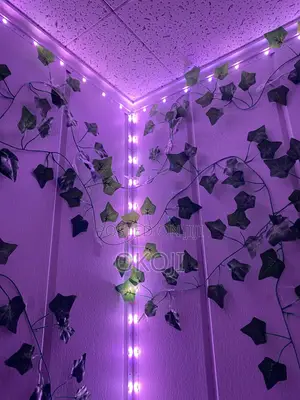 5m Led Strip Light