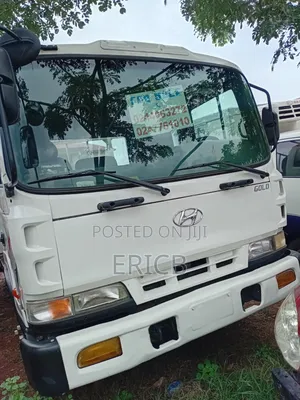 Hyundai Gold Truck