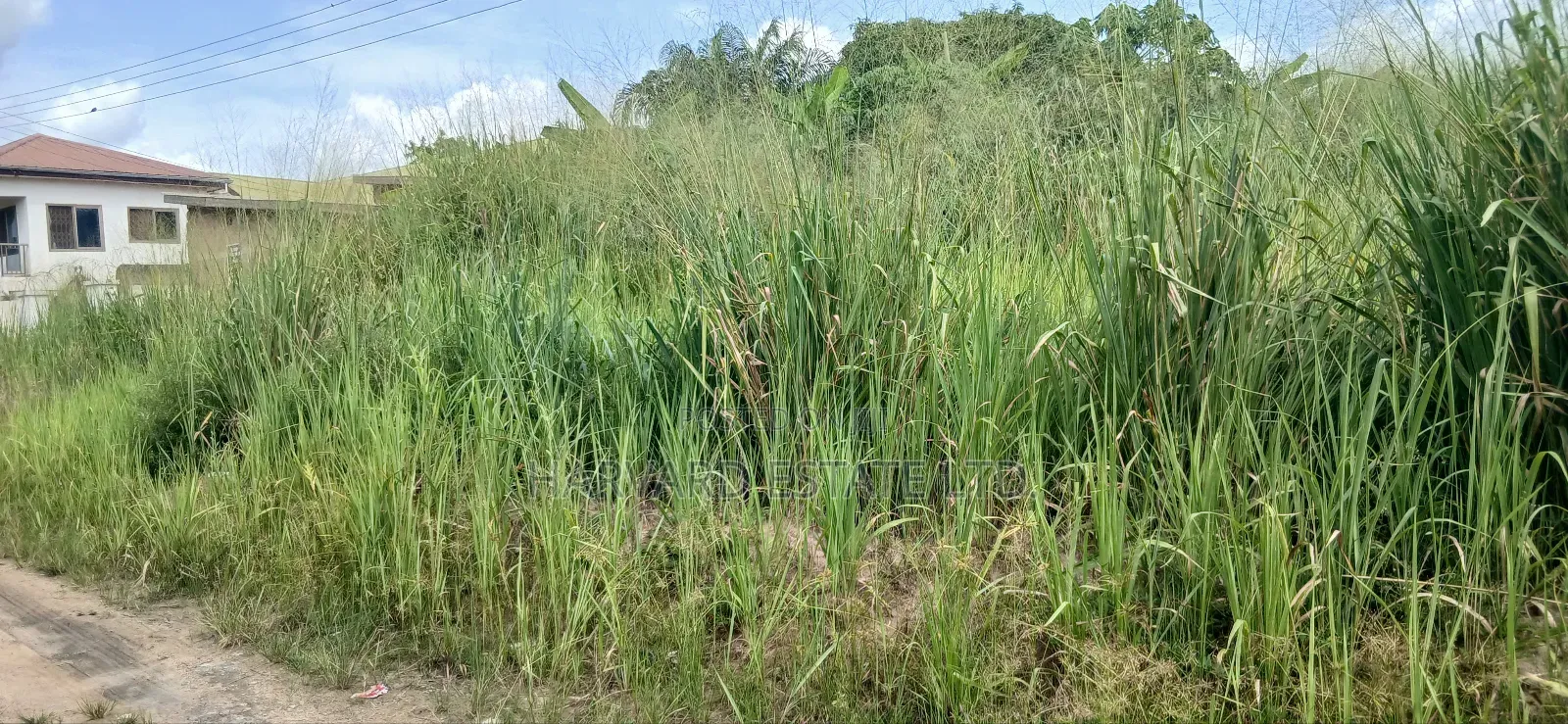Double Plot of Land, Emena Knust Campus