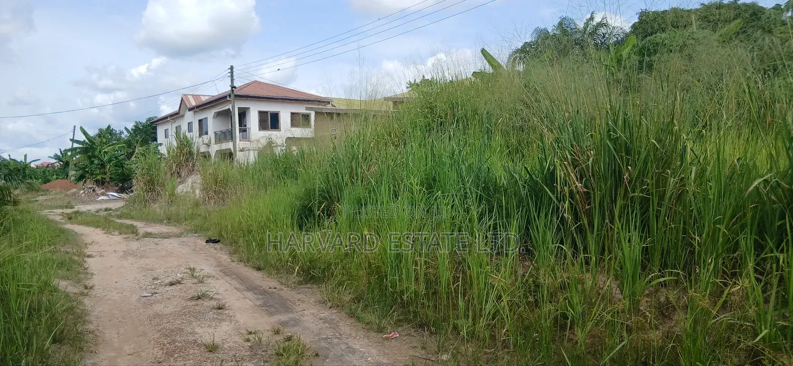 Double Plot of Land, Emena Knust Campus