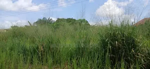 Double Plot of Land, Emena Knust Campus