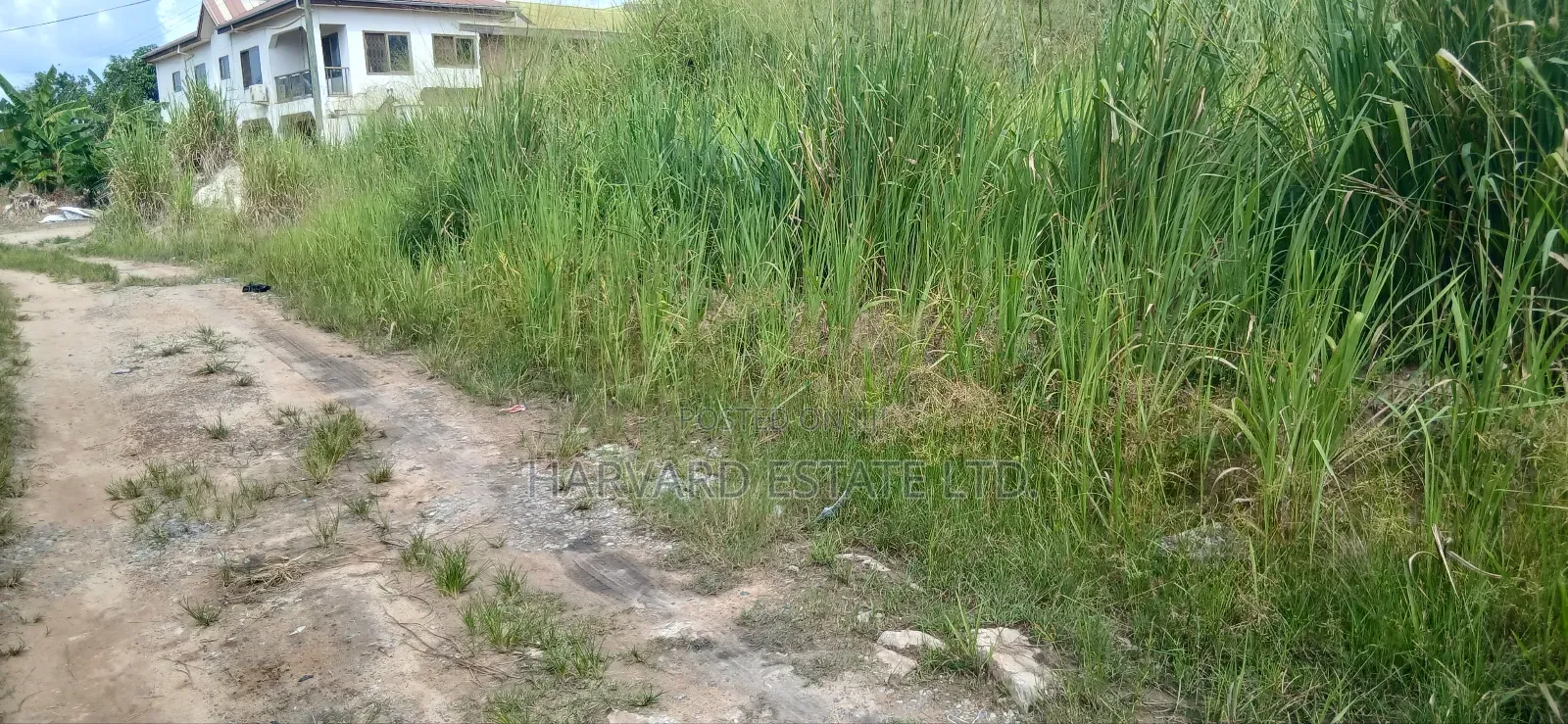 Double Plot of Land, Emena Knust Campus