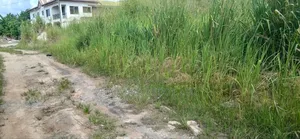Double Plot of Land, Emena Knust Campus