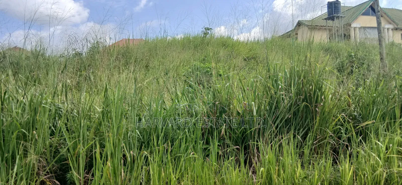 Double Plot of Land, Emena Knust Campus