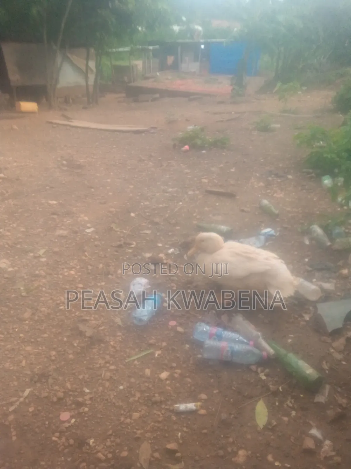 Land for Sale(Cheap Price)