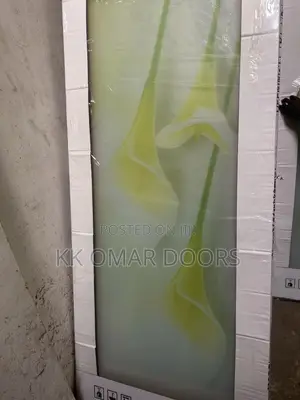 Bathroom Door