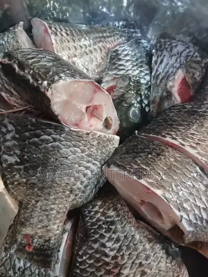Fresh Akosombo Tilapia