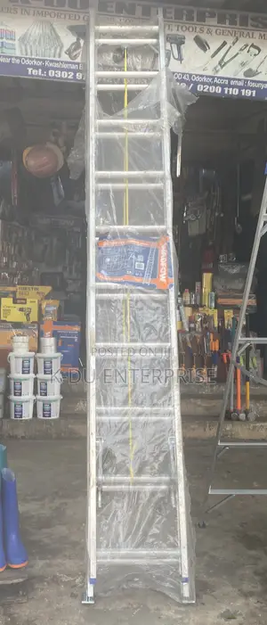 Wadfow 2x10 Aluminum Ladder