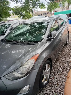 Hyundai Elantra 2013 Gray