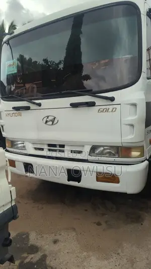 Hyundai Gold