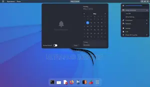 Kali Linux Installation