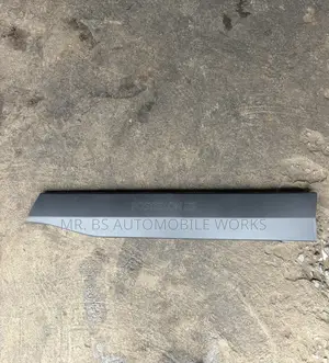 2019-2025 Rav4 Door Moulding Front Passenger