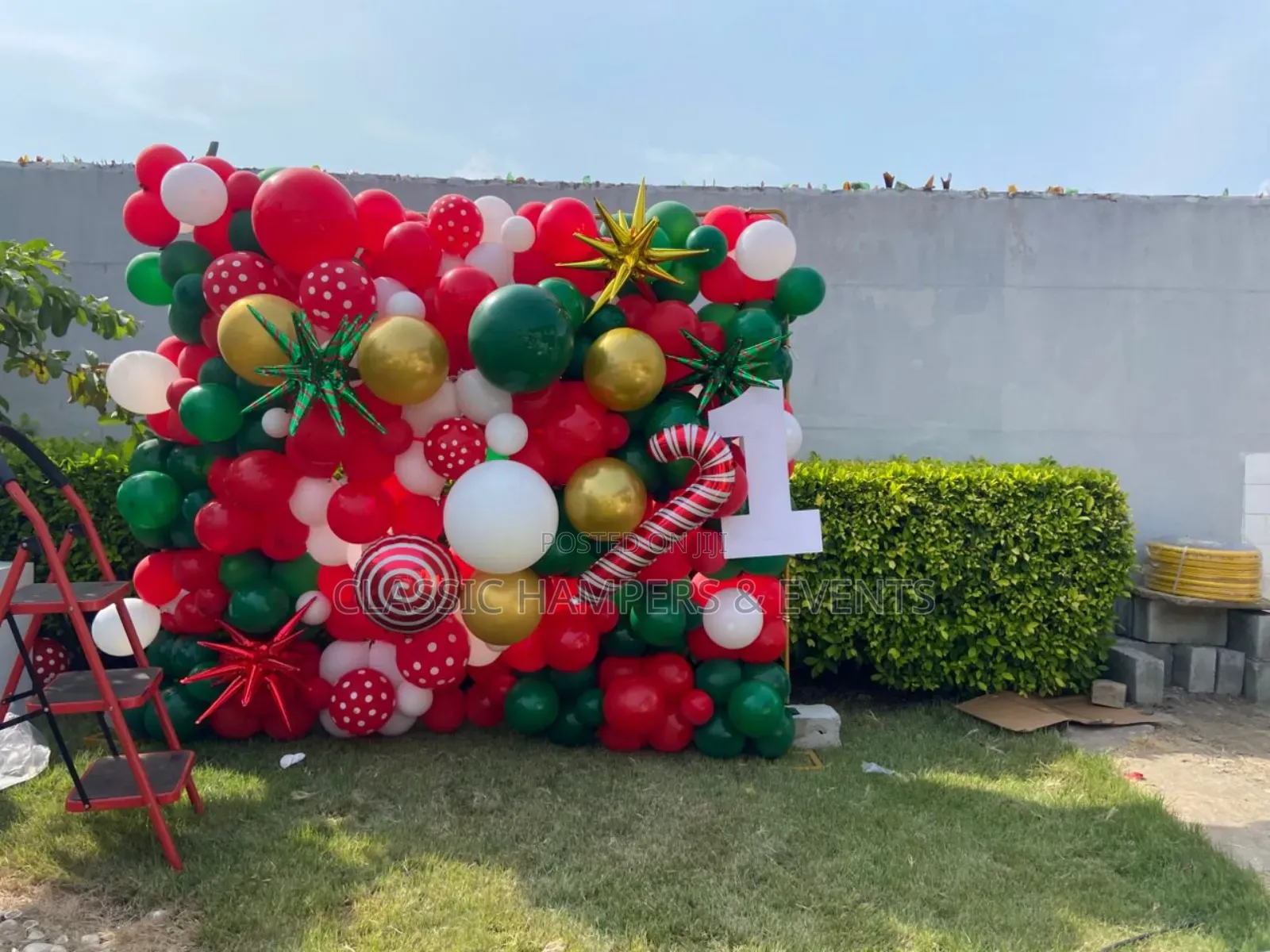 Balloon Backdrop for All Occasions