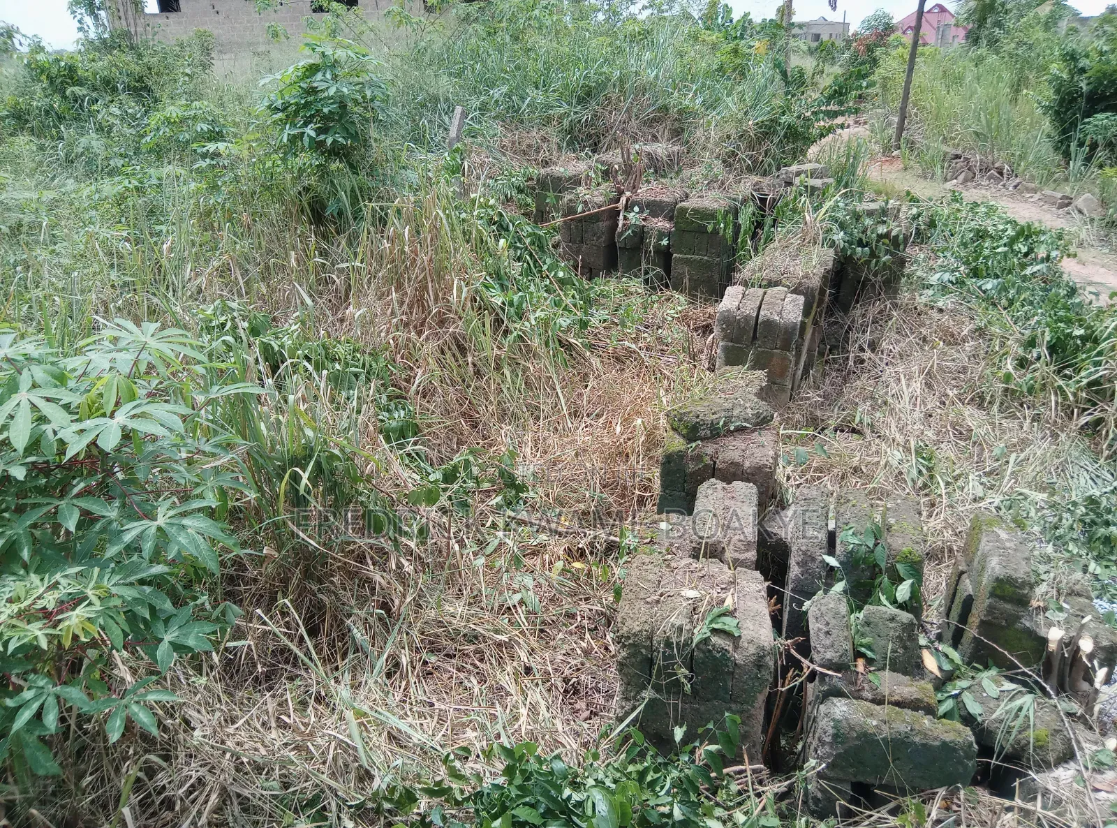 Half Plot of Land for Sale at Ipt Bokankye