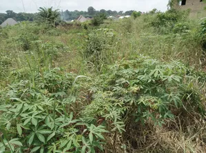 Half Plot of Land for Sale at Ipt Bokankye