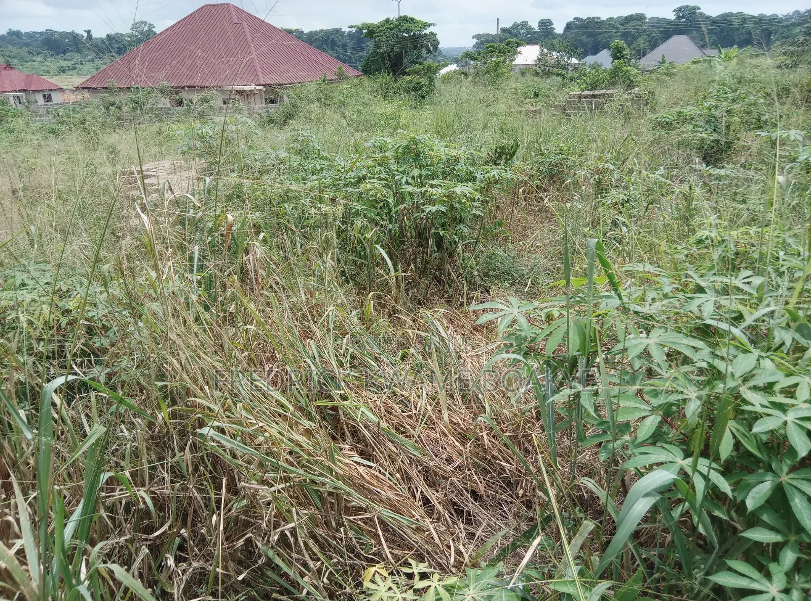 Half Plot of Land for Sale at Ipt Bokankye