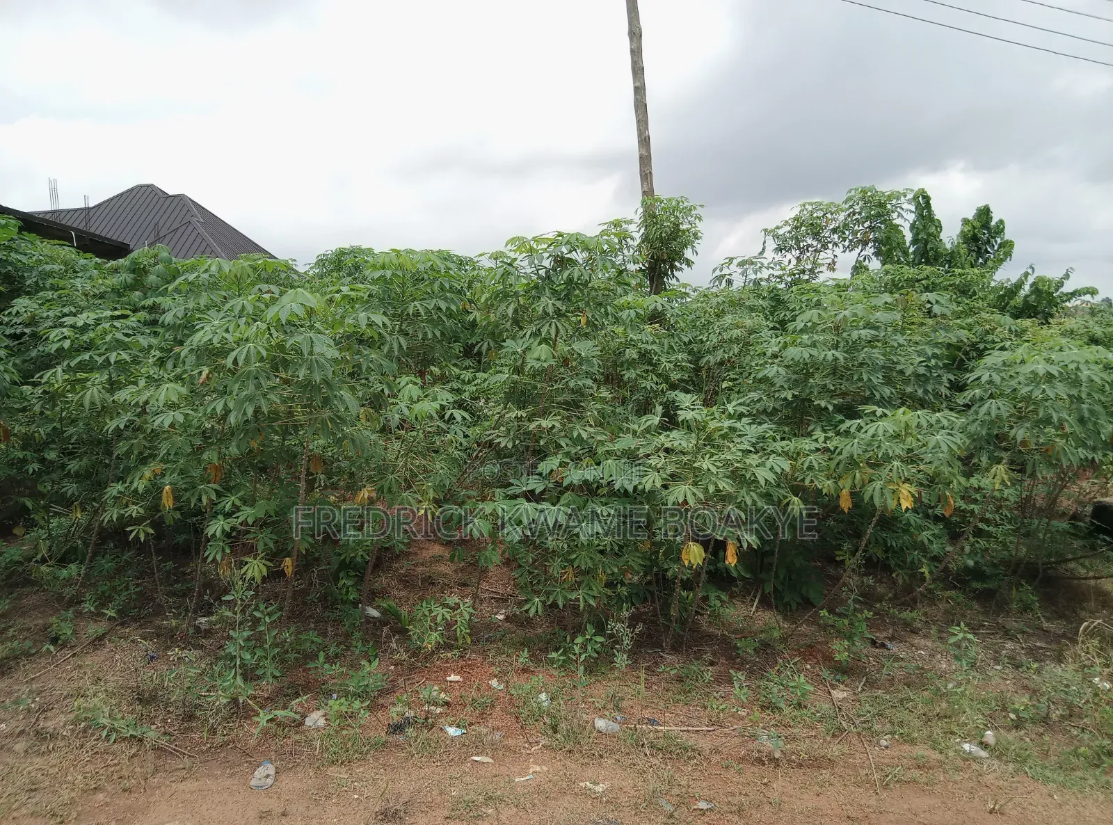 Half Plot of Land for Sale at Ipt Bokankye